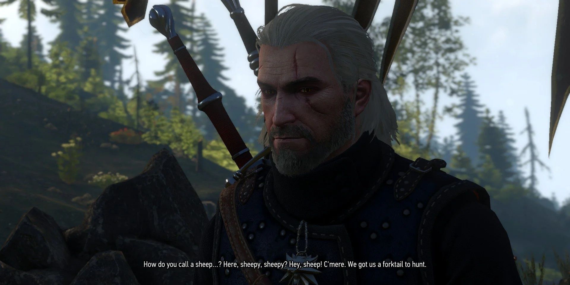 Geralt's Funny Lines Of Dialogue From The Witcher 3