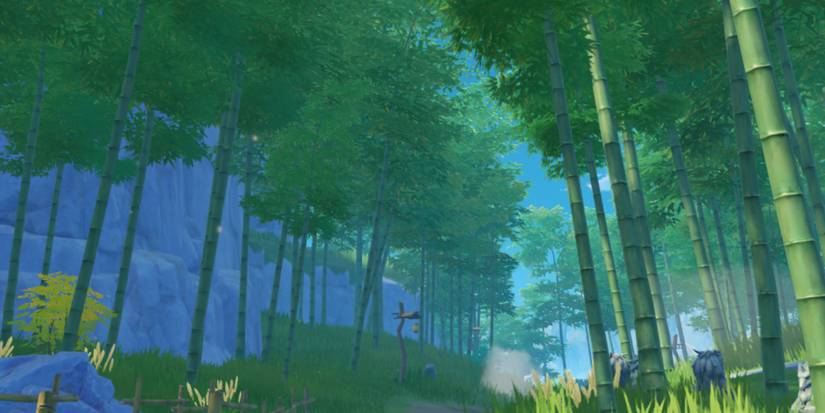 Location of Bamboo Segments in Genshin Impact