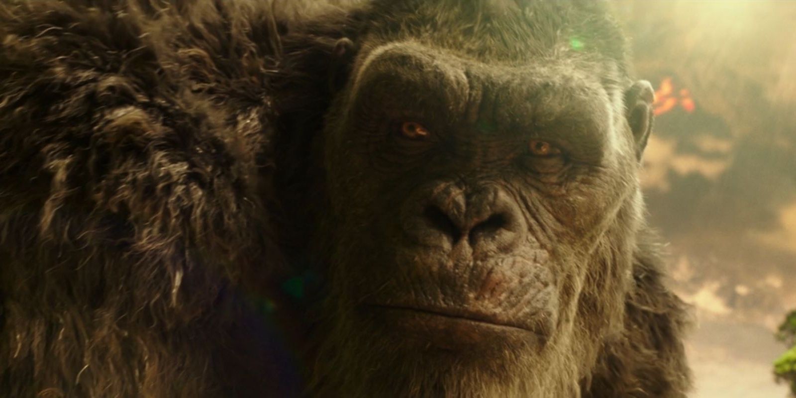 Close-up of Kong's face