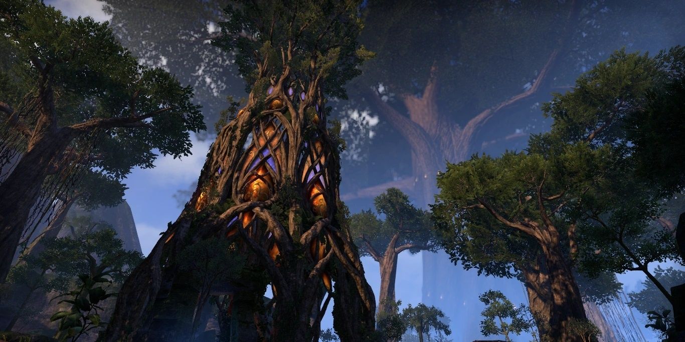 Giant Tree In Valenwood From The Elder Scrolls Online