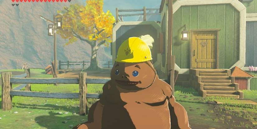 Greyson Goron Breath of the Wild Facts