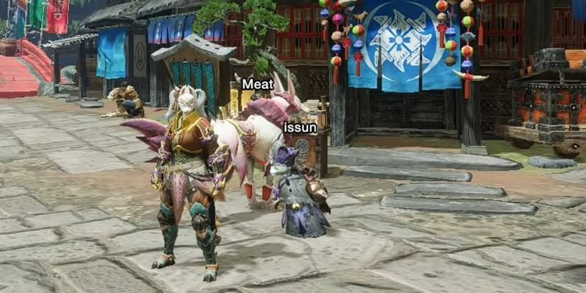 Hunter In Nice Armor in Village