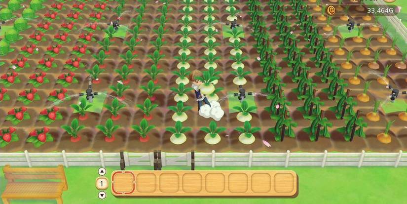 Hoarding Story of Seasons Pioneers Olive Town