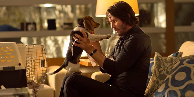 John Wick and his beagle
