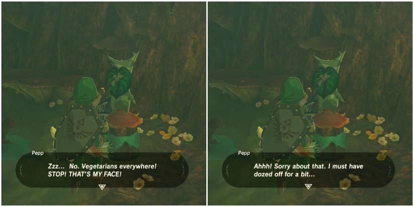 Screenshot of Korok Breath of the Wild