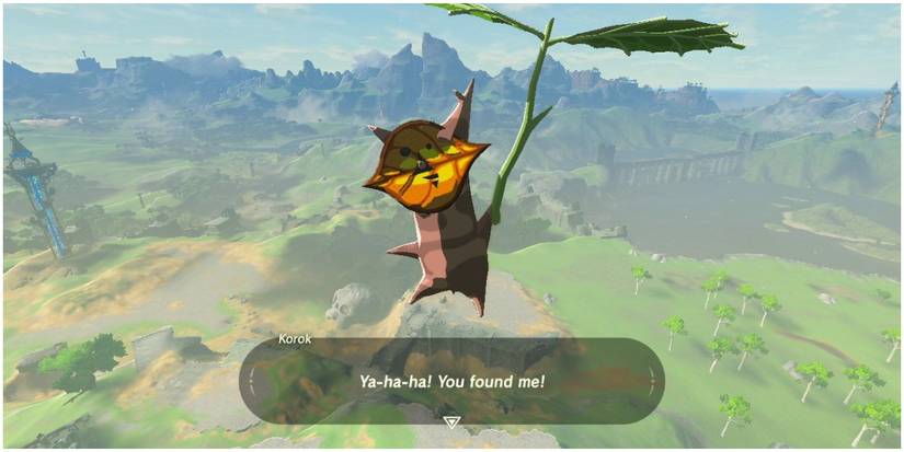 Screenshot of Korok Breath of the Wild