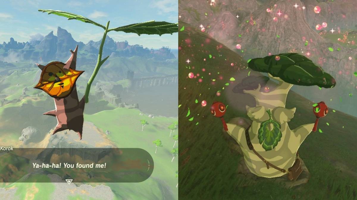 Screenshots of Hetsu and Korok from Breath of the Wild