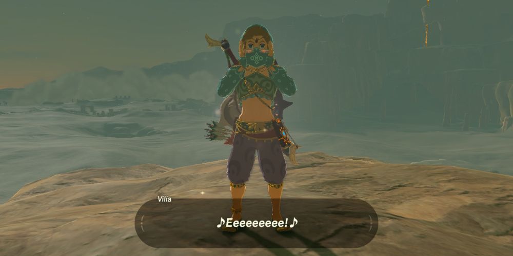 Link Gerudo Outfit Zelda Breath of the Wild Gerudo Trivia