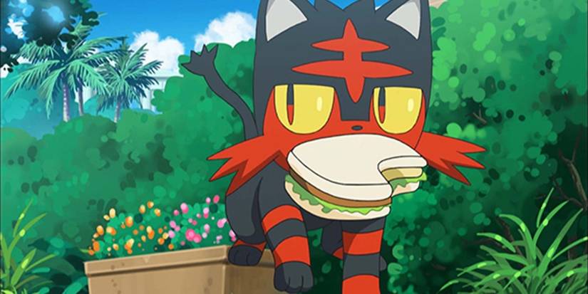 Pokemon Litten
