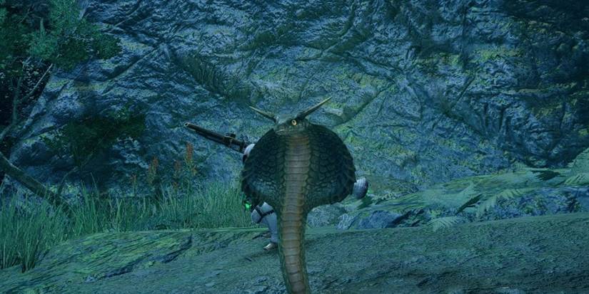 Monster Hunter Rise Antidobra