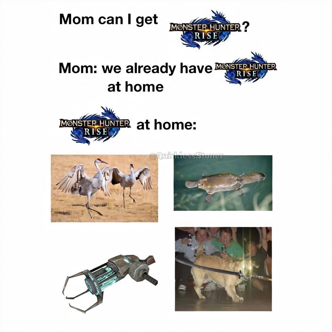 Monster Hunter Rise Memes