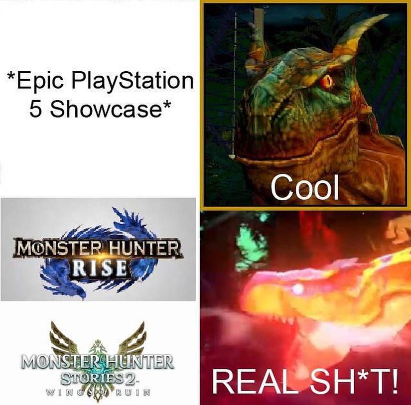 Monster Hunter Rise Memes