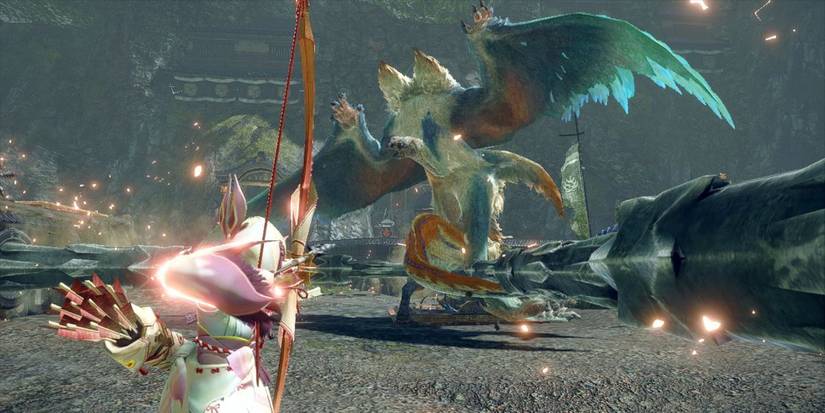 Hunter Fighting Bishaten In The Stronghold