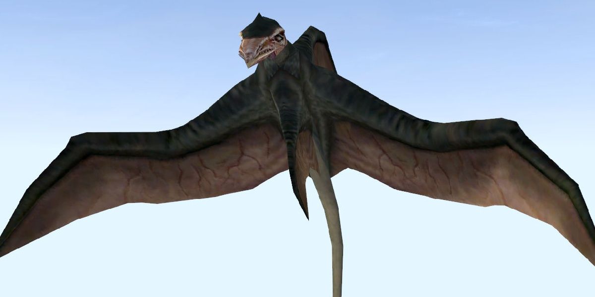 cliff racer welcome to morrowind cliff racer welcome to morrowind