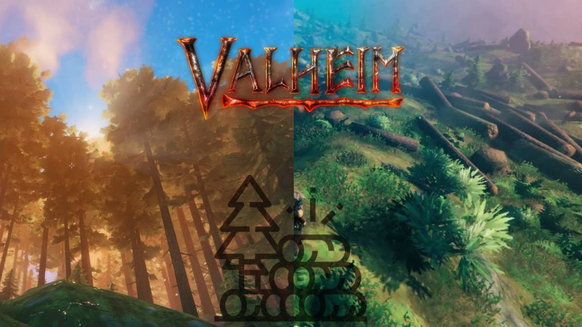 Core Wood Valheim