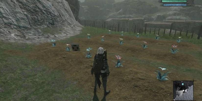 NieR Replicant full garden