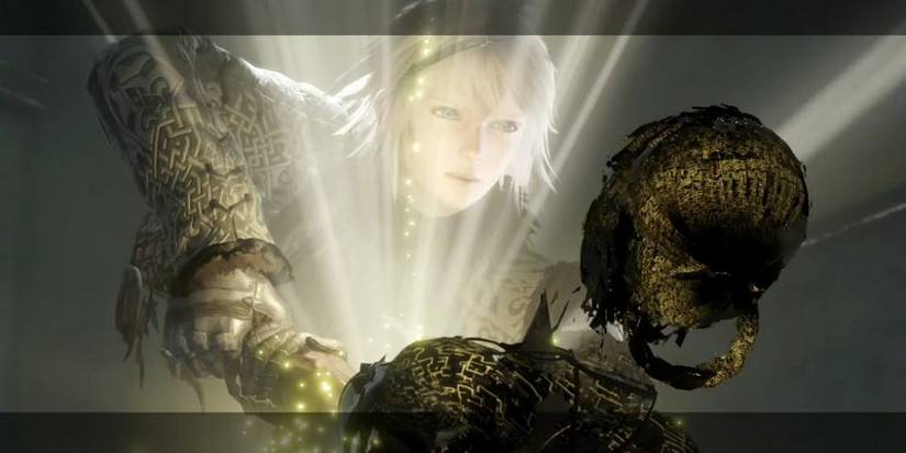 Nier and Kaine shade