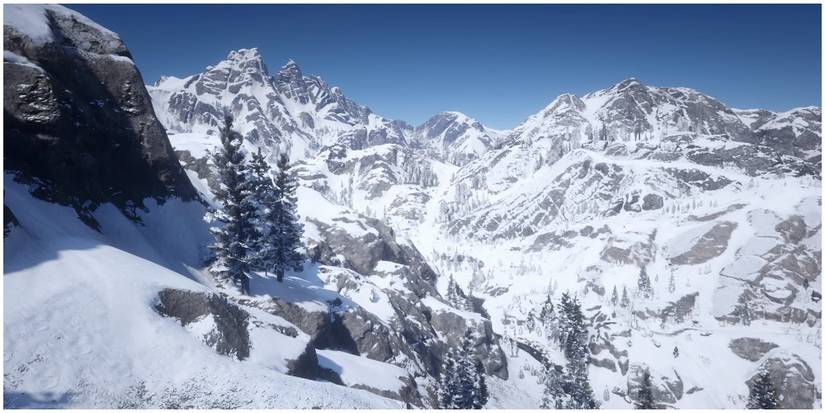 A view of Grizzlies West