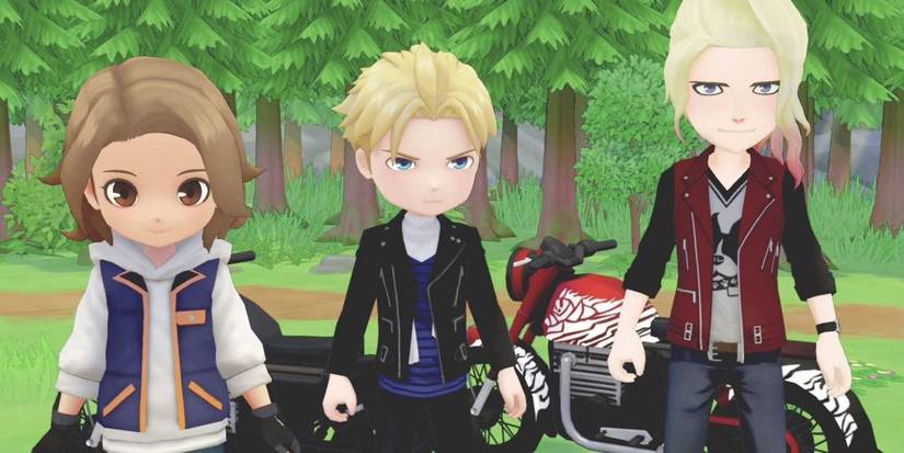 Normal Story of Seasons Pioneers Olive Town