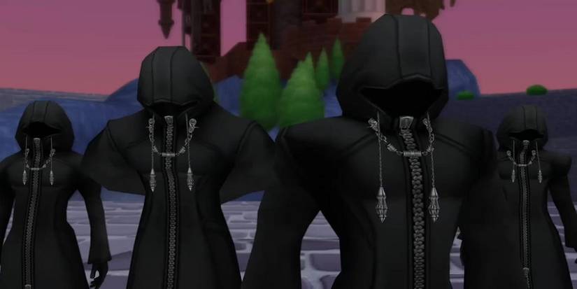 Organization XIII at Radiant Garden