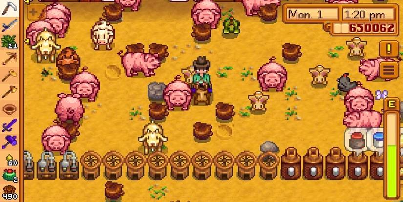 Stardew Valley