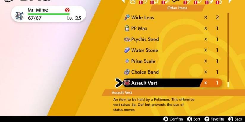 Pokemon Assault Vest