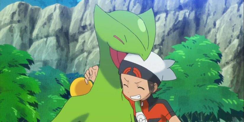 Pokemon Brendan And Sceptile