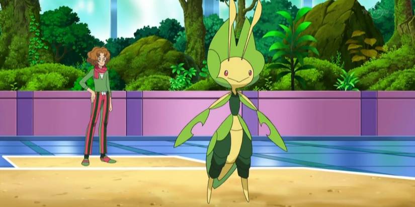 Pokemon Burgh and Leavanny