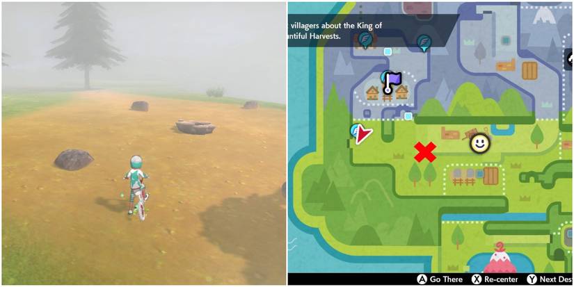 Pokemon trainer standing in Giant's Bed, map to the right