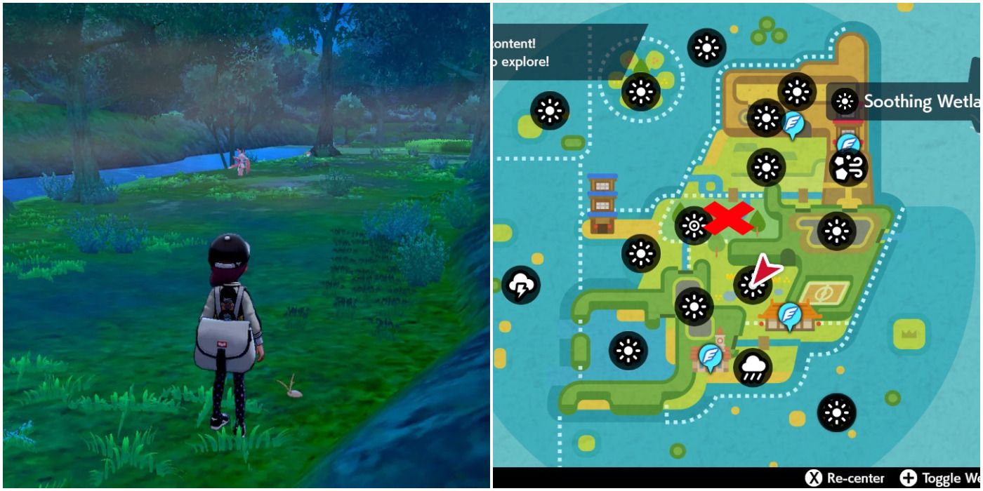 Pokemon Trainer standing in Forest of Focus, map to the right