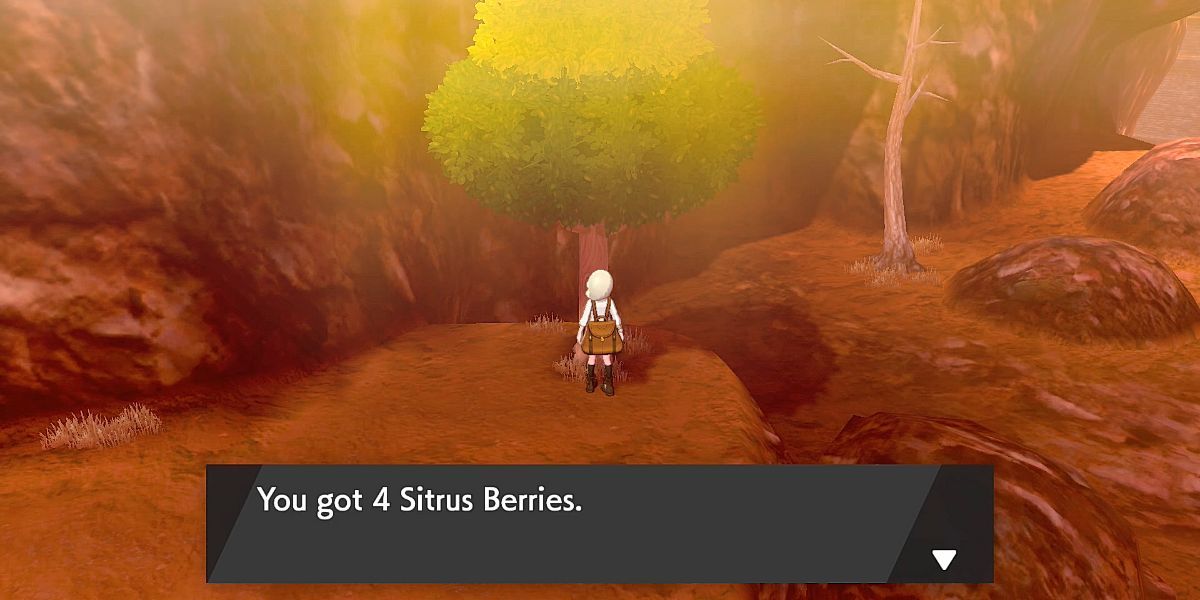 Pokemon Sitrus Berry