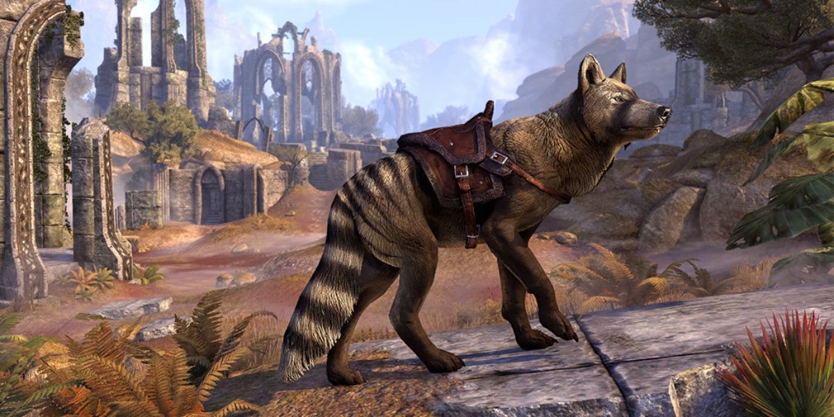A saddled Rimmen Ringtail Wolf from The Elder Scrolls