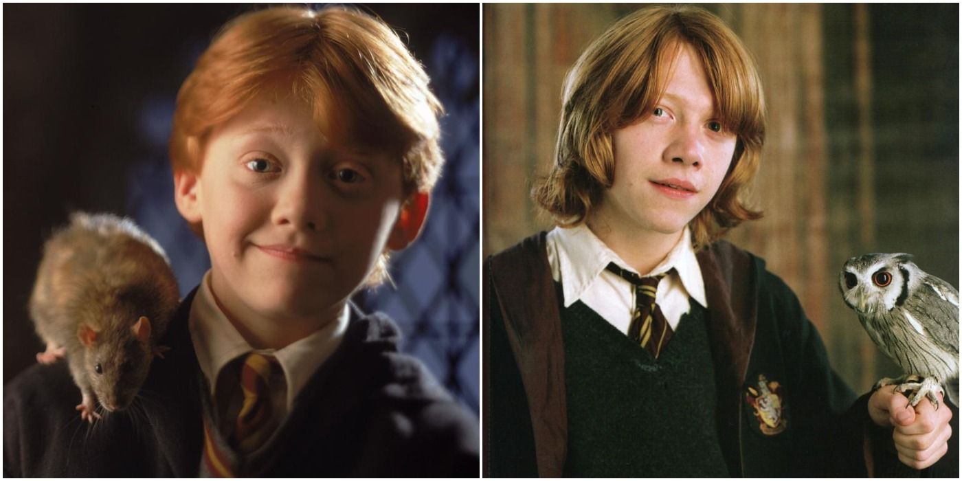 Ron trades Scabbers the rat for Pigwidgeon the owl in Harry Potter