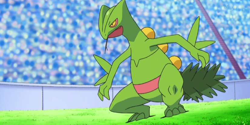Pokemon Sceptile