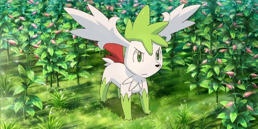 Pokemon Mythical Stats Ranked Shaymin