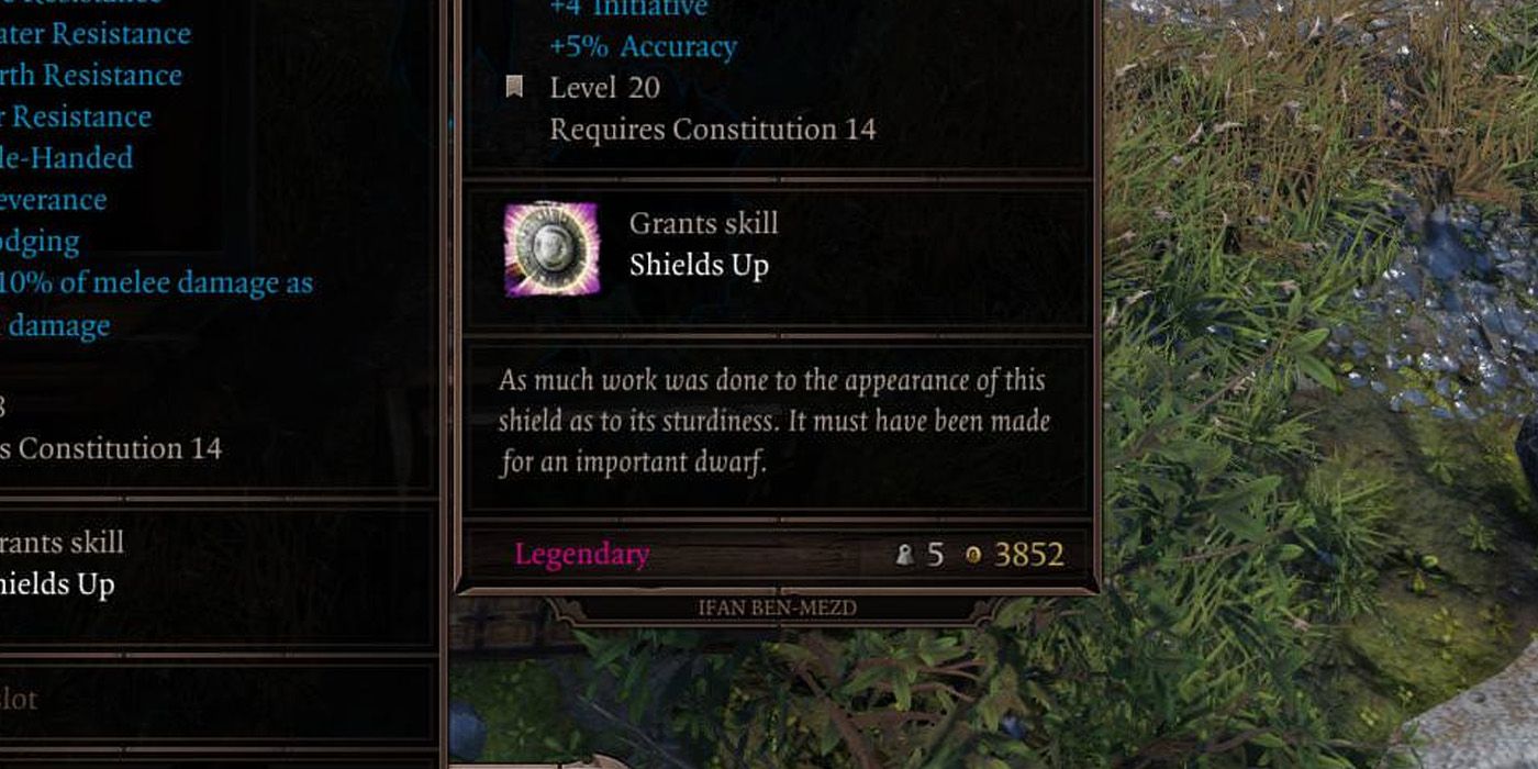 Shields Up - Divinity Original Sin 2 Tank Guide