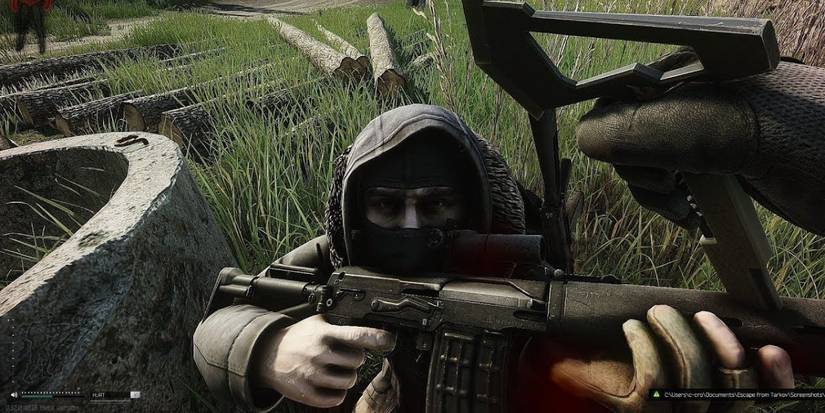 Shturman Melee Tarkov