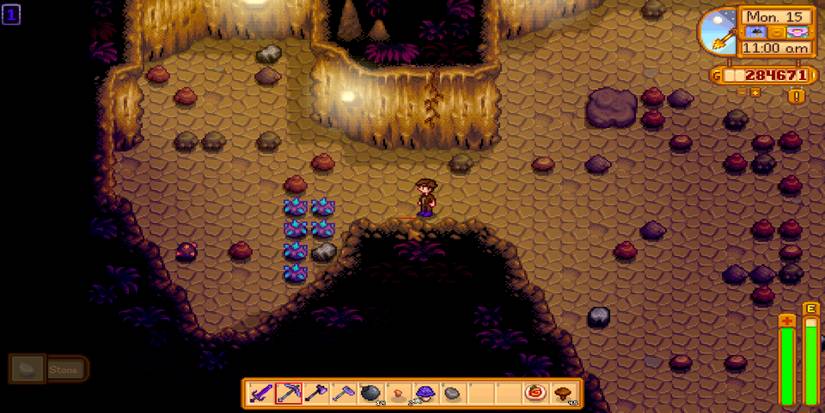 Stardew Valley