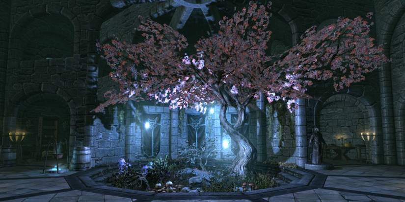 Skyrim Arch Mage's Quarters