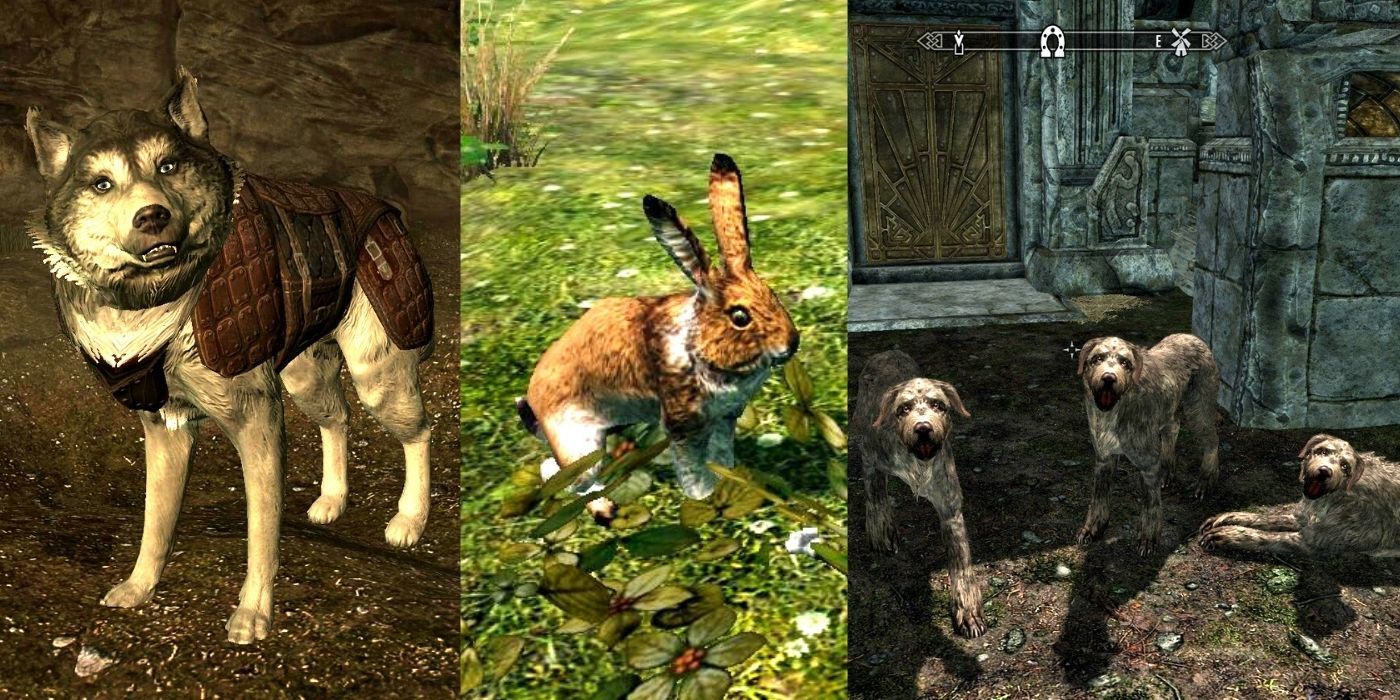 10 Best Pets In Skyrim, Ranked