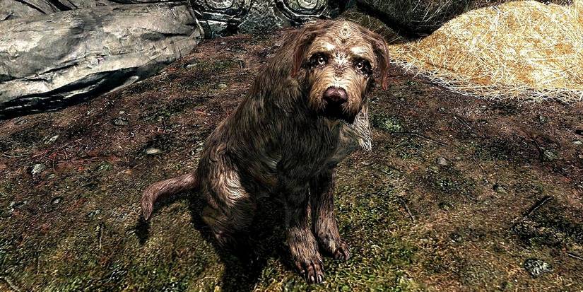 Skyrim Vigilance Dog