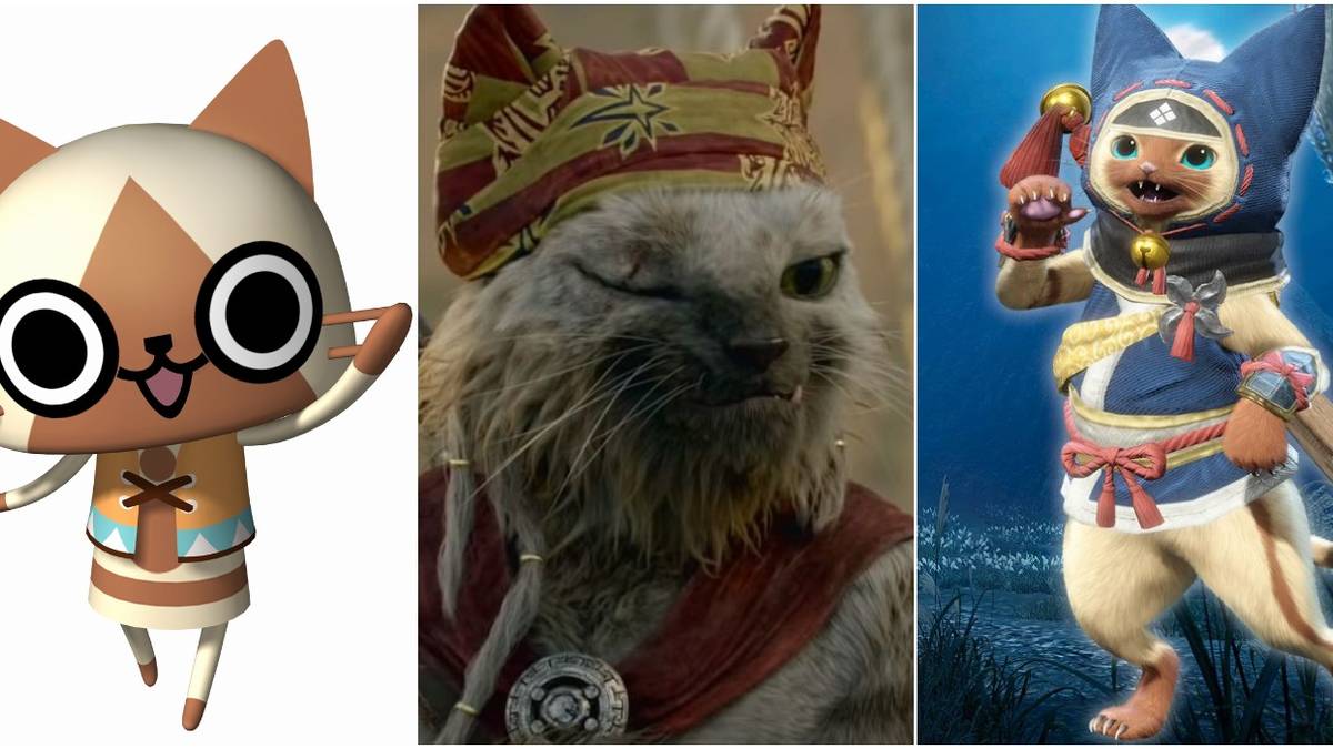 Split Image Of Palico From Different Media