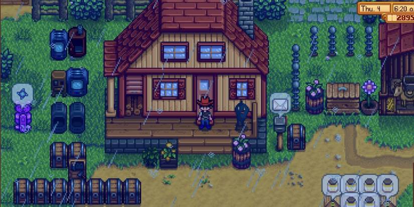 Stardew Valley Krobus Rain