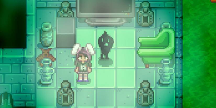 Stardew Valley Krobus Room