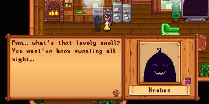 Stardew Valley Krobus Smell