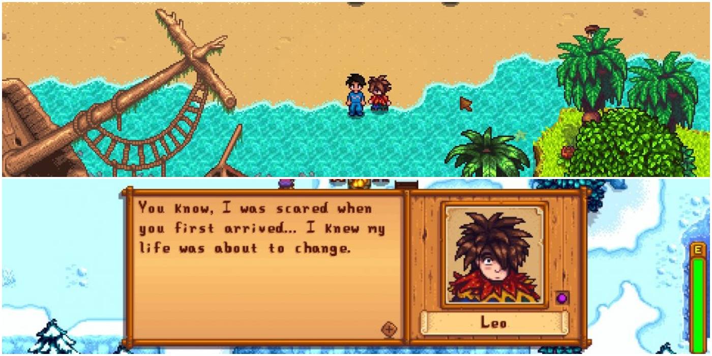 Stardew valley leo