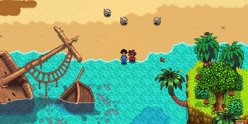 Stardew Valley Leo Shore