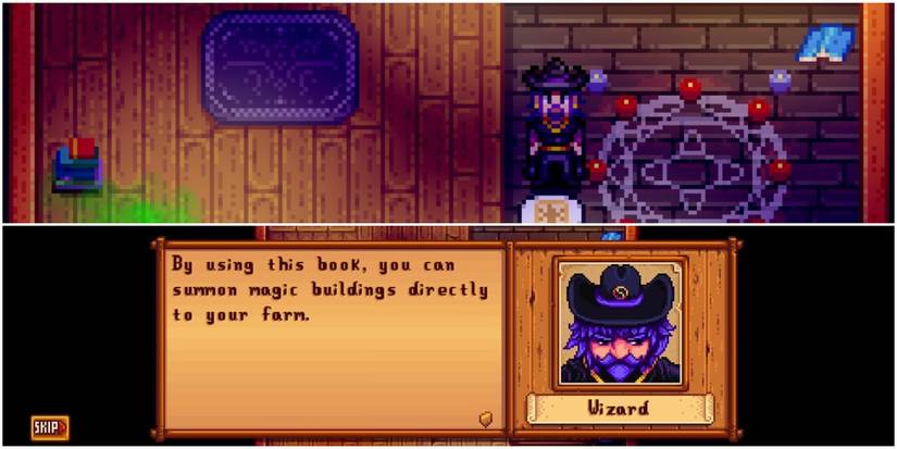 Stardew Valley The Wizard