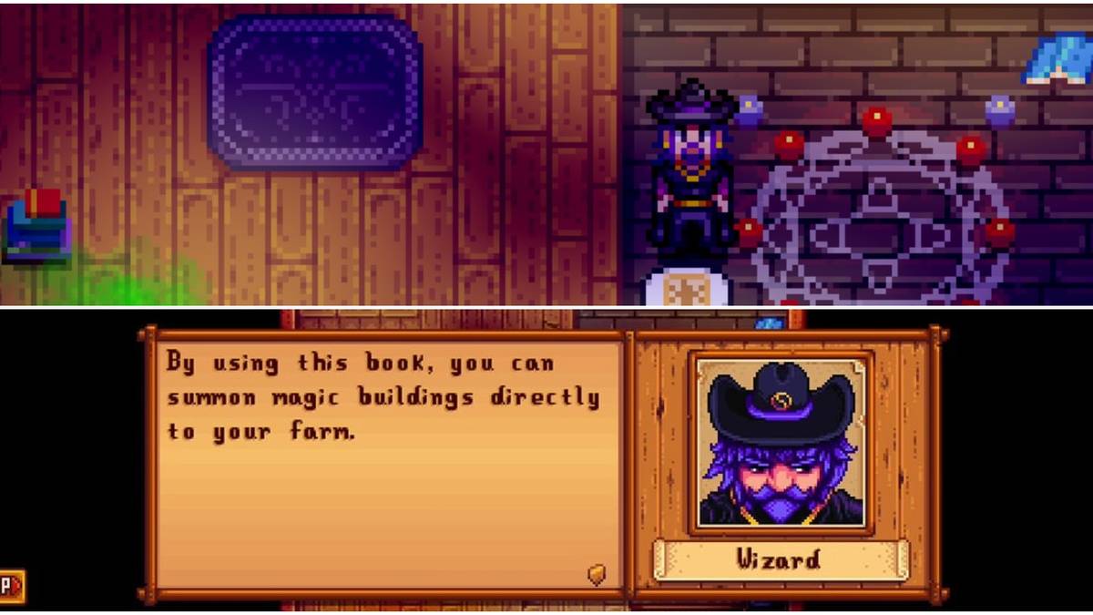 Stardew Valley The Wizard