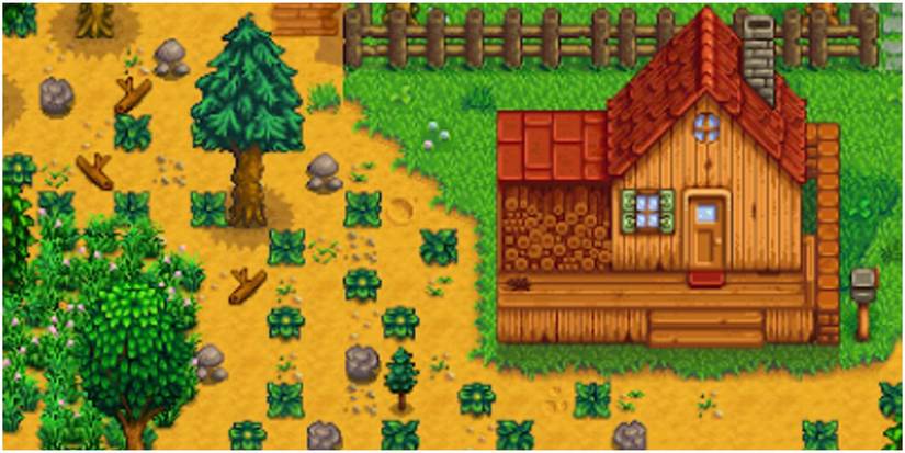 Stardew Valley farm